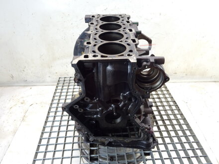 Blok motora Nissan X-trail II (T31) 2007 - 2018 M9R832