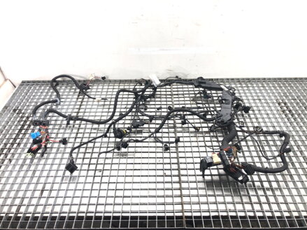 Kabeláž motora BMW 5 Touring (F11) 2009 - 2017