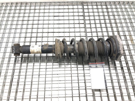 Tlmič pravý zadný pružina BMW X3 (G01, F97) 2017 - 2022 6871801