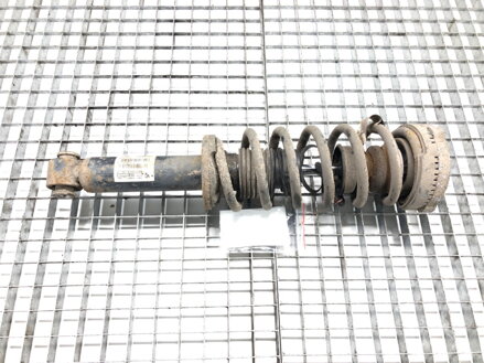 Tlmič ľavý zadný S pružinou BMW X3 (F25) 2010 - 2017 6796317