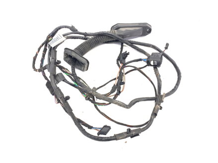 Kabeláž dvere zadná ľavá BMW X5 (E70) 2006 - 2013 9203115