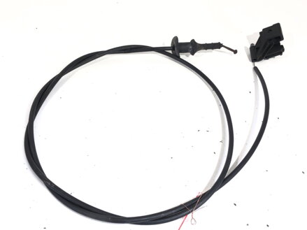 Lanko kapoty Opel Signum Liftback (Z03) 2003 - 2008 24421819