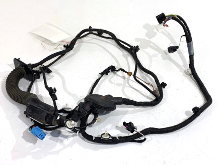 Kabeláž dvere predná pravá Audi A5 (F53, F5P) 2016 - 2022 8W6971030BF