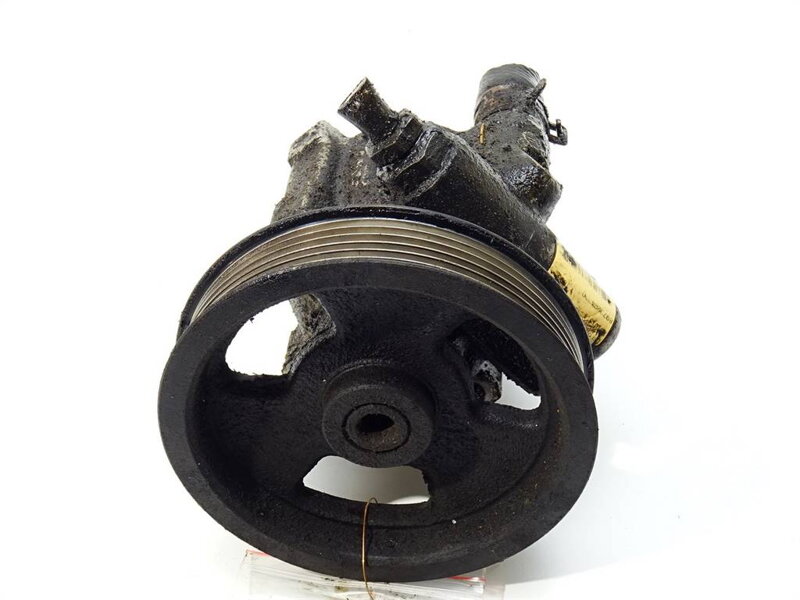SERVOČERPADLO RENAULT VEL SATIS (BJ0_) 2002 - 2022 8973294700