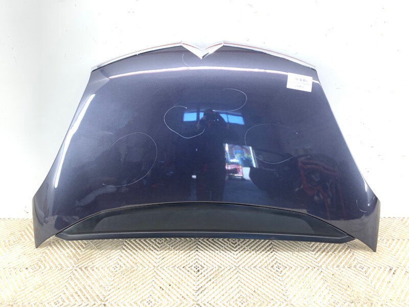 KAPOTA CITROEN C4 PICASSO I (MPV) (UD_) 2006 - 2015 KAPOTA CITROEN C4 PICASSO I (MPV) (UD_) 2006 - 2015