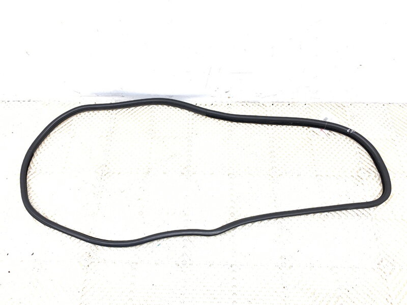 Tesnenie dverí zadné ľavé BMW X6 (E71, E72) 2007 - 2014