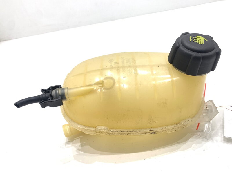 Vyrovnávacia nádržka chladiacej kvapaliny Renault Clio V (B7_) 2019 - 2022 217102572R