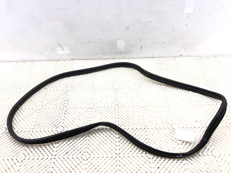 Tesnenie dverí predné pravé Hyundai Elantra VII Sedan (CN7) 2020 - 2022