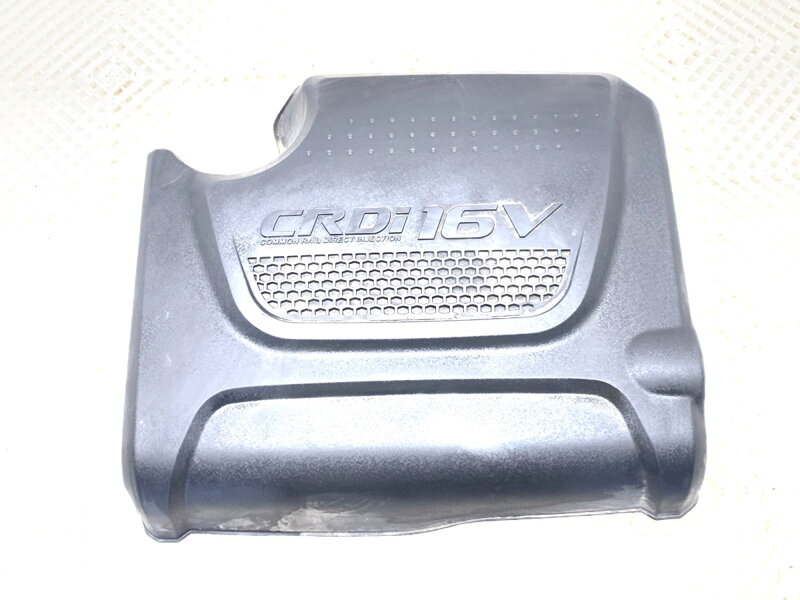 Veko / kryt motora Hyundai Santa FÉ III (DM, DMA) 2012 - 2022