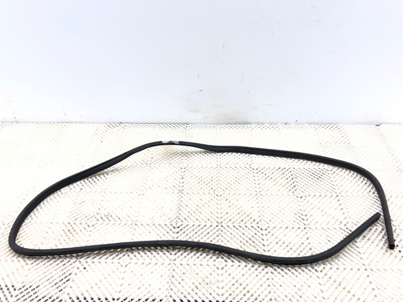 Tesnenie dverí predné pravé Nissan Qashqai III (J12) 2021 - 2022