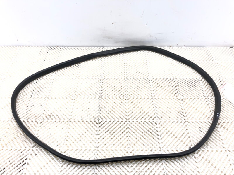 Tesnenie dverí predné pravé Renault Arkana I (LCM_) 2019 - 2022