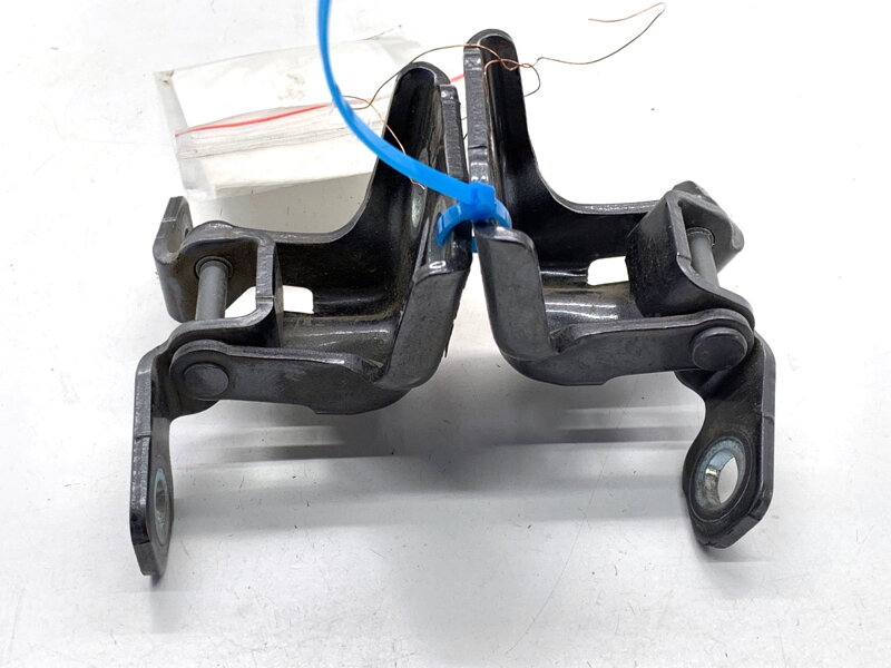 Pánty dvere zadné ľavé Renault Arkana I (LCM_) 2019 - 2022