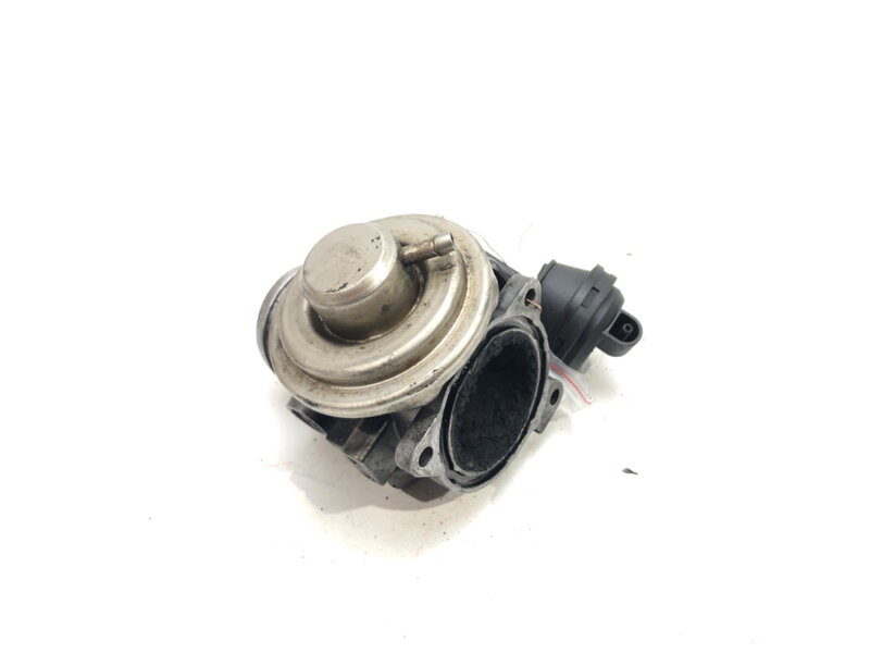 Ventil EGR Seat Leon (1M1) 1999 - 2006 038131501E
