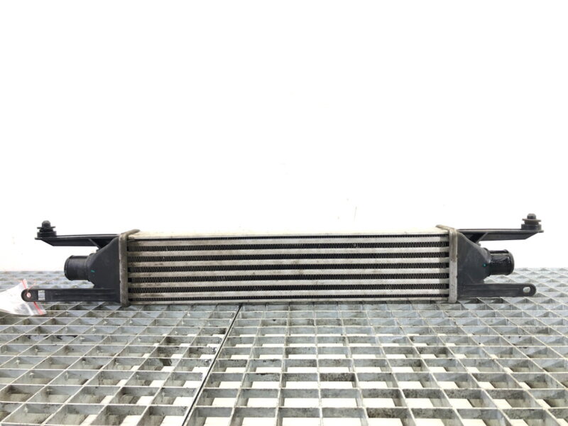 Intercooler Fiat Punto EVO (199_) 2008 - 2022
