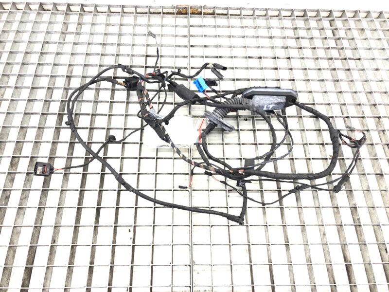 Kabeláž dvere zadná ľavá BMW 7 (F01, F02, F03, F04) 2008 - 2015 9234348