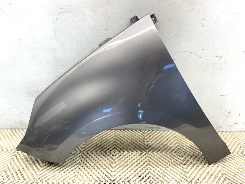 Blatník ľavý predný Renault Grand Scénic III (JZ0/1_) 2009 - 2022 TEKNG